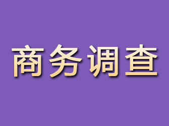 陆川商务调查